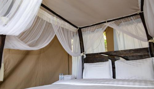 Twin/Double Room