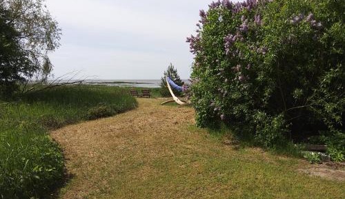 Bungalow - Beach Front