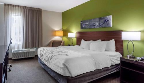 King Room - Non-Smoking