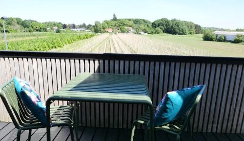 Double or Twin Room with Terrace