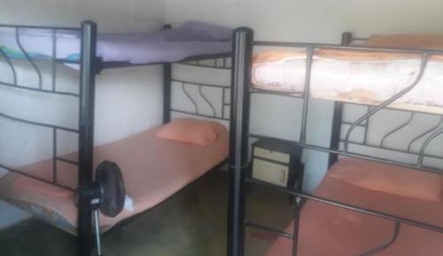 Bed in 4-Bed Dormitory Room