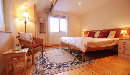 Deluxe Double or Twin Room with Mountain View