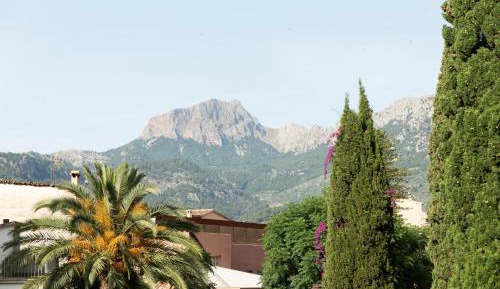 One Bedroom Apartment Garden View