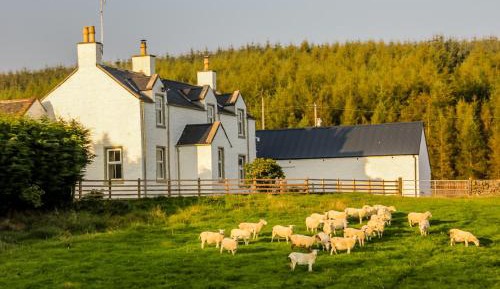 Four-Bedroom House