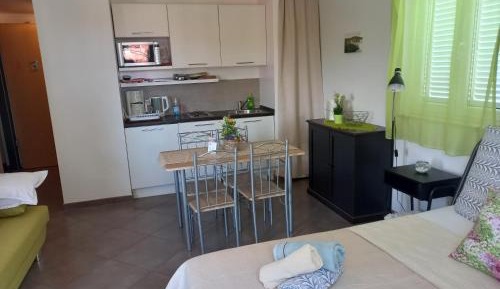 One-Bedroom Apartment with Garden