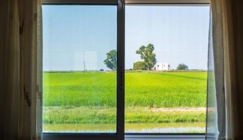 Three-Bedroom Superior Apartment