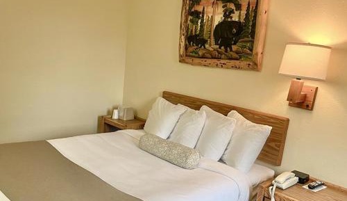 Standard Queen Room