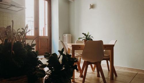 Family Studio