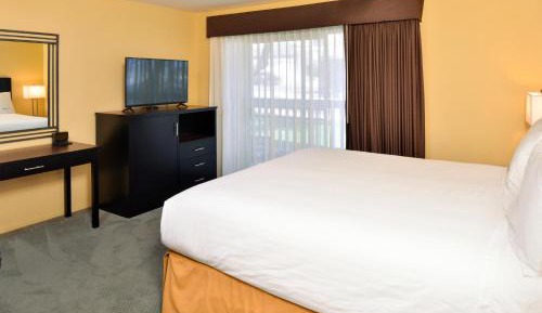 King Room with Roll-In Shower - Disability Access