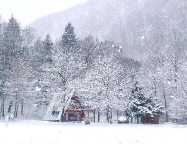 Two-Bedroom Chalet