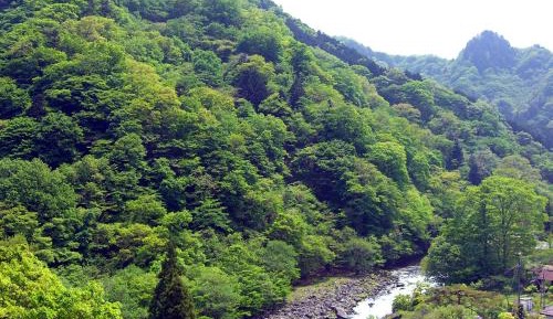 Japanese-Style Room - Non Smoking