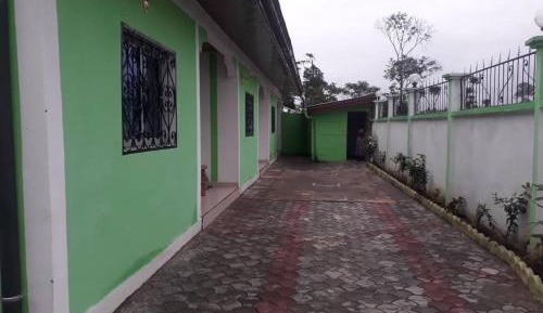 Family Studio