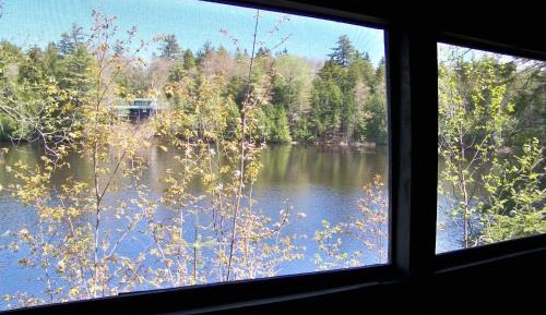 Three-Bedroom Cottage #4