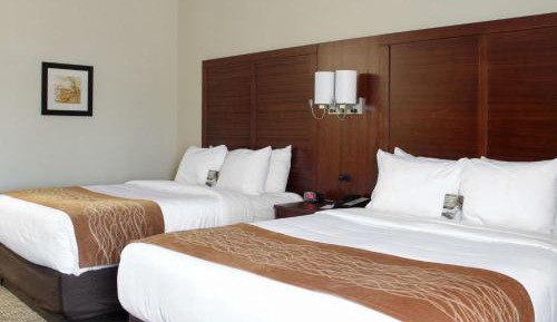 Queen Room with Two Queen Beds - Non-Smoking