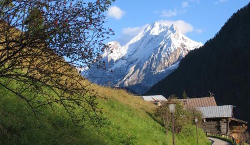 One-Bedroom Apartment with Mountain View