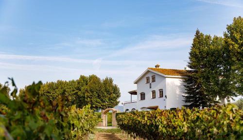 Villa with Garden View