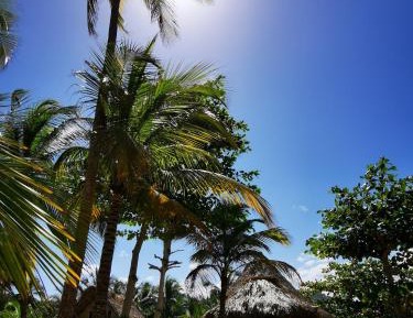 Family Room with Sea View