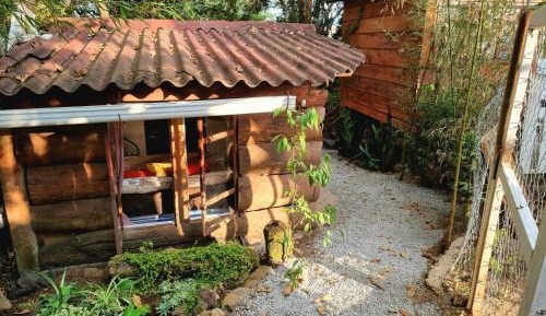 Studio with Garden View