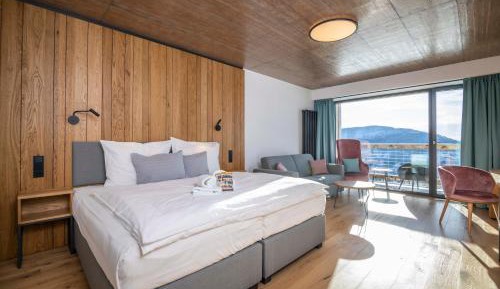 Deluxe Double or Twin Room with Mountain View