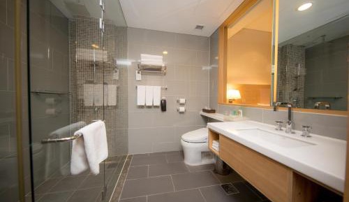 Premium King Room