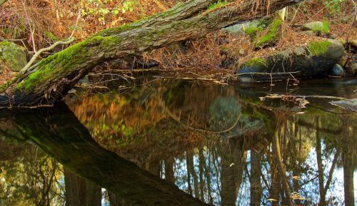 Three Bedroom holiday home 