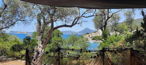 Studio Apartment with Sea View