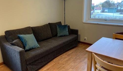 Studio with Sofa Bed