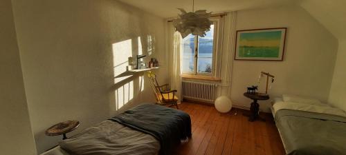 Double or Twin Room with Lake View