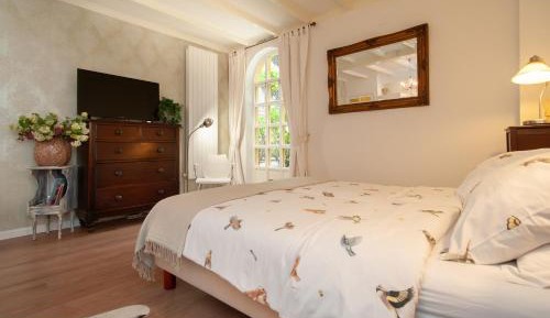 Deluxe Double Studio