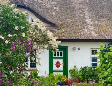 Apartment with Garden View