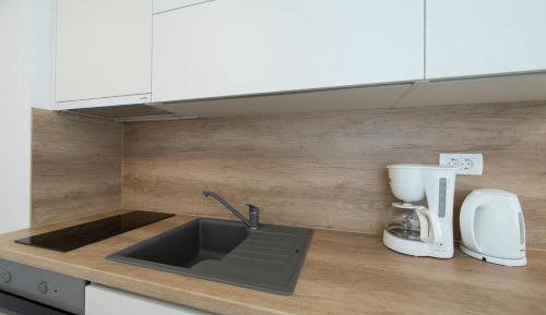 Apartment with Mountain View