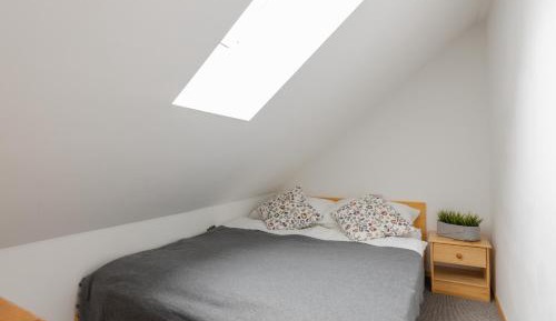 Family One-Bedroom Apartment