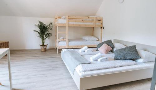 Studio with Bunk Bed and Balcony