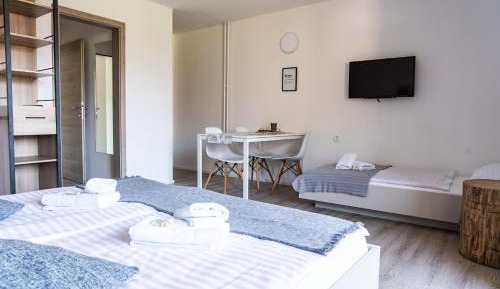 Big Studio with Balcony