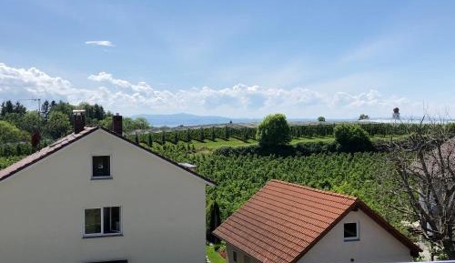 Apartment with Mountain View