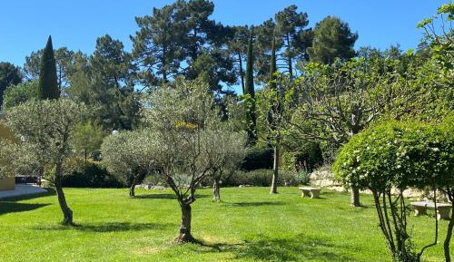 Classic Double Room with Garden View