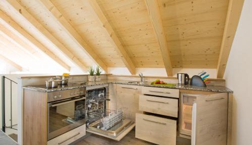 Standard Penthouse Apartment with Terrace with Spa Access