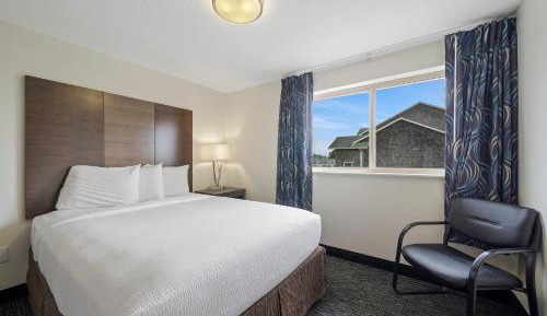 Standard Single King Room - No View