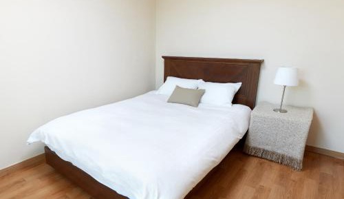 Condominium(1 Double bed or Ondol)