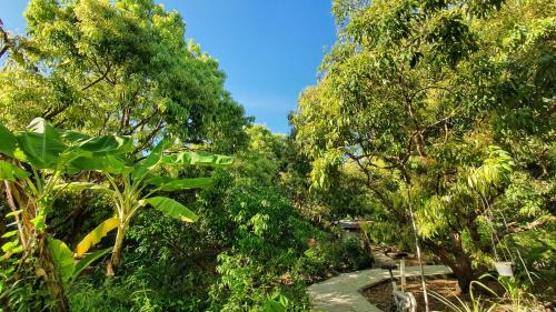 Standard Deluxe Room