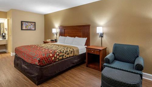 Accessible Room. 1 King Bed, Roll-In Shower, Smoking
