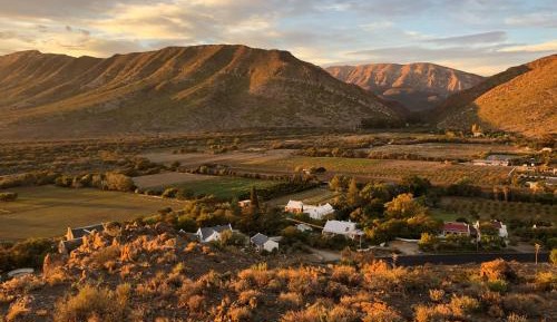 Villa with Garden View