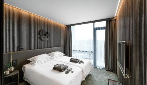 Standard Double Room with Balcony and Spa Access