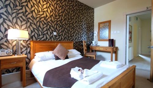 Economy Double Room (Adult-Only)
