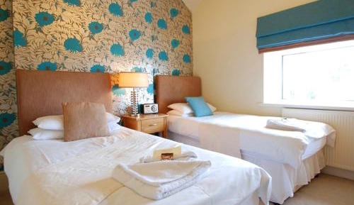 Deluxe Twin Room (Adult-Only)