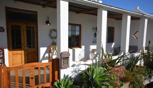 One-Bedroom Apartment - Aloe