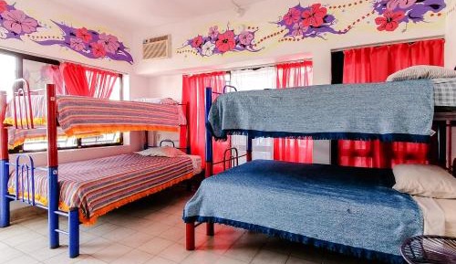 Bed in 4-Bed Female Dormitory Room
