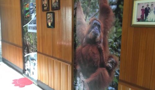 Two-Bedroom Bungalow