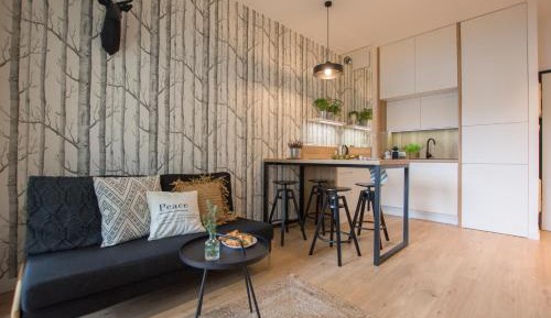 Apartment with Terrace