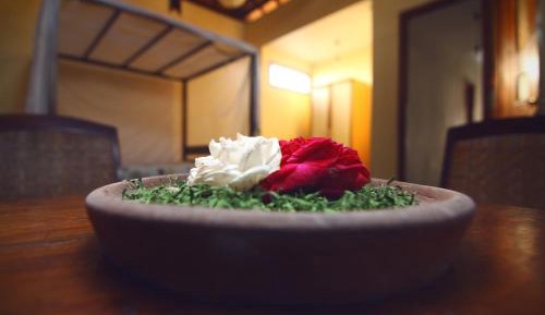Single Room with Garden View